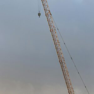 Crane Against Cloudy Sky